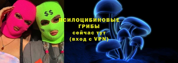 а пвп мука Алзамай