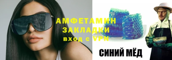 шишки Няндома