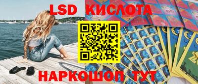 apvp Нальчик