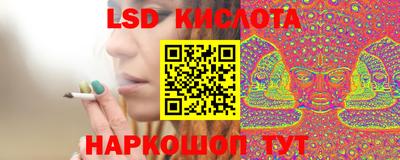 apvp Нальчик