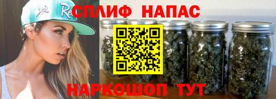 apvp Нальчик