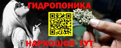 apvp Нальчик