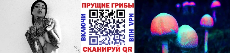 блэк спрут сайт  Родники  Галлюциногенные грибы Psilocybe 
