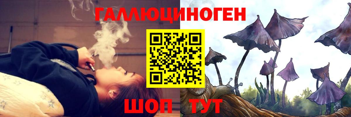 Галлюциногенные грибы MAGIC MUSHROOMS  Вход с VPN  Родники 